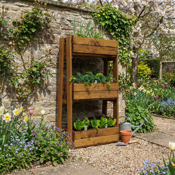 HB213 - Regular Country Kitchen Herb Garden – Charles Taylor